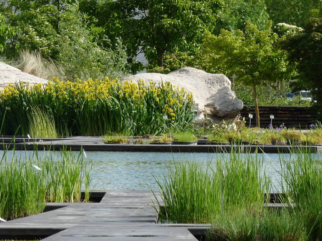 jardin botanique de Bordeaux-le jardin aquatique © DGST Mairie de