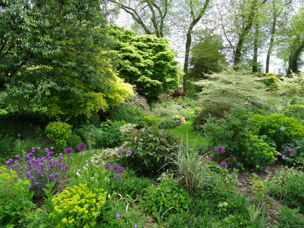 Sous-bois stratifié et coloré - Jardins de France