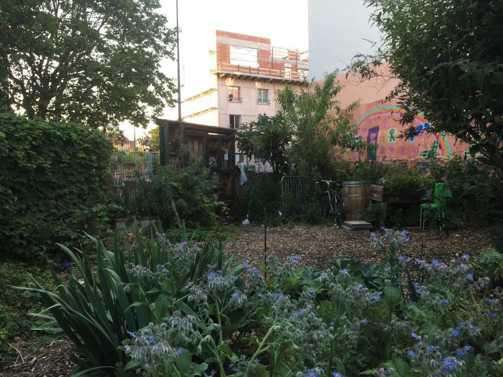 Un jardin urbain associatif à Bagnolet (93) : massifs fleuris et